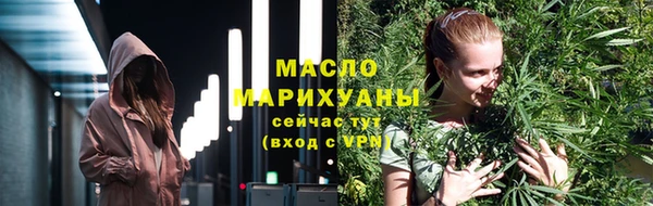 СК Алексин