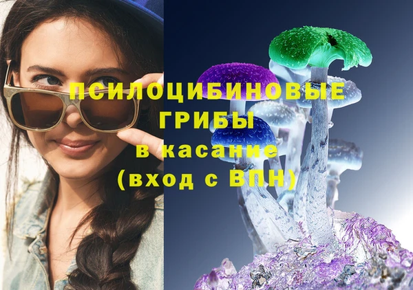a pvp Алзамай