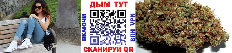 наркота  Рославль  Бошки Шишки OG Kush 